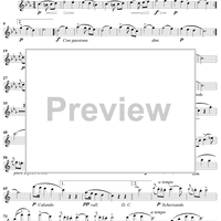 Souvenir a Henselt, Op. 7, No. 1 - Flute