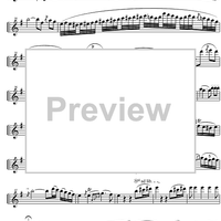 Cadenza Concerto E Major  1st and  2nd movement - Flute