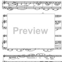 Chromatic Study (from Violin School) - Score