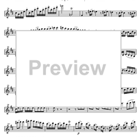 Concerto No. 4 D Major KV218 - Violin