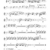Loudoun Praises - Flute 2