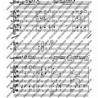 Concerto E Major in E major - Score