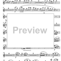 Concerto Op.93 - Flute
