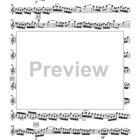 The Violin Concerti - Violin 1
