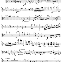 Violin Concerto No. 1 - Violin