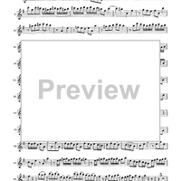 Double Concerto for Recorder and Flute in E minor - Flauto Traverso (Flute)