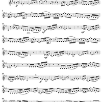 "Greifet zu, fasst das Heil", Aria, No. 4 from Cantata No. 174: "Ich liebe den Höchsten von ganzem Gemüte" - Violin