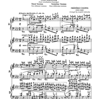 No. 28 - Étude Op. 25, No. 2 (Third Version)
