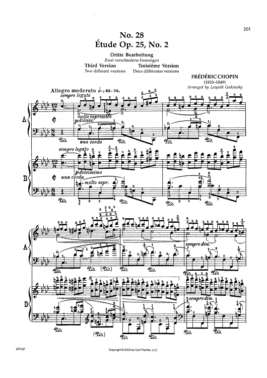 No. 28 - Étude Op. 25, No. 2 (Third Version)