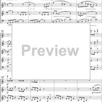 Wind Quintet in C Major, Op. 79 - Allegro Non Troppo