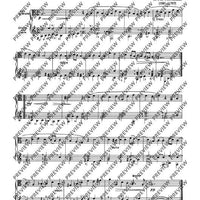Sonata A minor in A minor - Performing Score