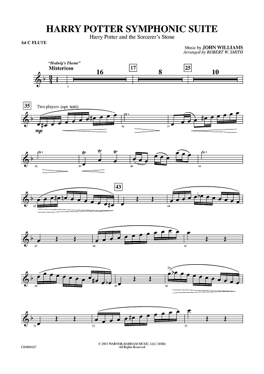 Harry Potter Symphonic Suite - Flute 1