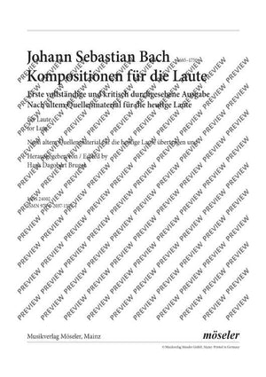 Compositions for the lute