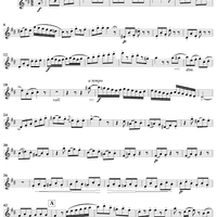 Grand Duo in D Major, Op. 39, No. 3 - Flute 1
