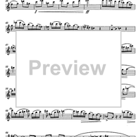 Quintetto Op.91 - Flute