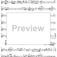 Sonata No. 2 in B Minor - Violin