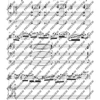 Cadenza for the Brandenburg Concerto No. 3 G major by Johann Sebastian Bach - Performing Score