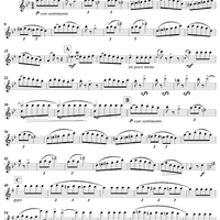Spanish Dance in G Minor, Op. 12, No. 2 - Flute
