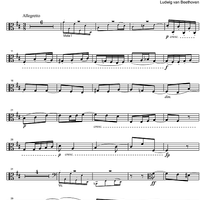 Fugue D Major Op.137 - Viola 2