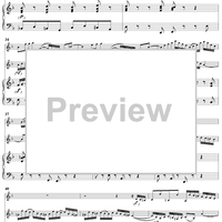Concerto for 2 Violins in D Minor BWV.1043, 1st Mvt. Violin II