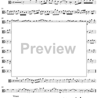 Concerto No. 4 in G Major  from "6 Concerti Grossi" - From "6 Concertos in 7 Parts" - Viola