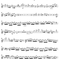 Concerto No. 2 in G Major - Flute