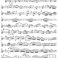 Grand Duo in B-Flat Major, Op. 39, No. 2 - Flute 1