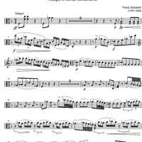 Piano Quartet F Major D487 - Viola