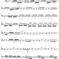 Flute Concerto in F Major, Op. 10, No. 1 ("La Tempesta di Mare") - Cello
