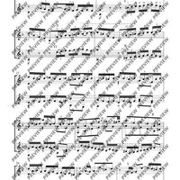 Double Concerto D major in D major