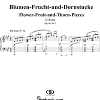 Flower-Fruit-and-Thorn-Pieces (Blumen-Frucht-und-Dornstücke), op. 82 - No. 7. L'Aveu