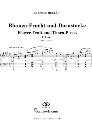 Flower-Fruit-and-Thorn-Pieces (Blumen-Frucht-und-Dornstücke), op. 82 - No. 7. L'Aveu