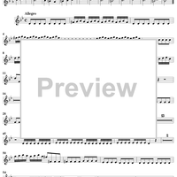 Flute Concerto in G Minor ("La Notte")  - Op. 10, No. 2 - RV 439 - Violin 2