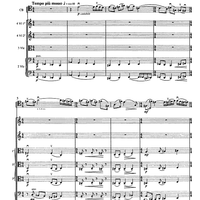 Contrabbasso concertante - Score