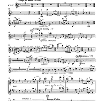 Contrabbasso concertante - Violin 1