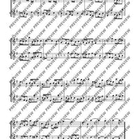 Sonata e minor - Performing Score