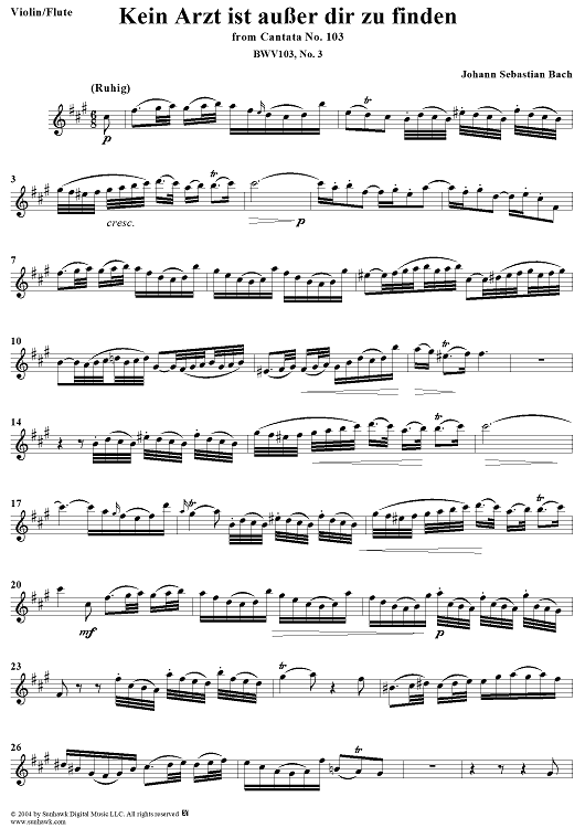 "Kein Arzt ist ausser dir zu finden", Aria, No. 3 from Cantata No. 103: "Ihr werdet weinen und heulen" - Violin or Flute