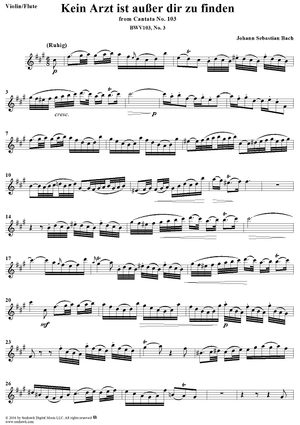 "Kein Arzt ist ausser dir zu finden", Aria, No. 3 from Cantata No. 103: "Ihr werdet weinen und heulen" - Violin or Flute
