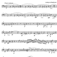 String Quintet C Major Op.29 - Cello