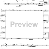 Flute Sonata No. 6 - Piano Score