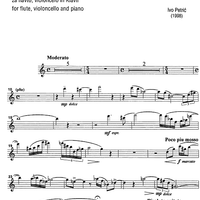 Trio Giocoso - Flute