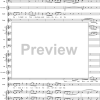 "Meine Seele hüpft vor Freuden", No. 5 from "Zaide", Act 1, K336b (K344) - Full Score