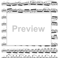 Suite No. 1 G Major BWV 1007 - Cello