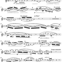Sonata No. 2 for Flute, Viola and Harp - Flute