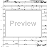 "Ruhe sanft, mein holdes Leben", No. 3 from "Zaide", Act 1, K336b (K344) - Full Score