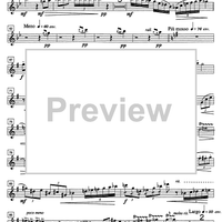 Accord parfait Op.182 - Flute