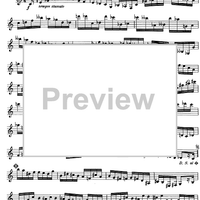 The Accomplished Clarinettist Vol. 1 - Clarinet