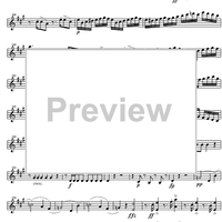 Piano Quintet A Major D667 - Violin