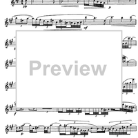 The Accomplished Clarinettist Vol. 1 - Clarinet