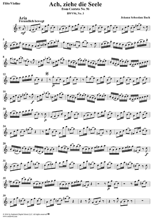 "Ach, ziehe die Seele", Aria, No. 3 from Cantata No. 96: "Herr Christ, der ein'ge Gottessohn" - Flute or Violin